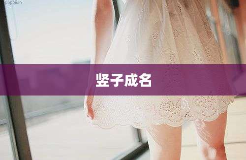 竖子成名