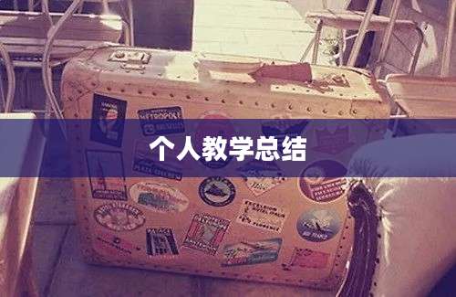 个人教学总结