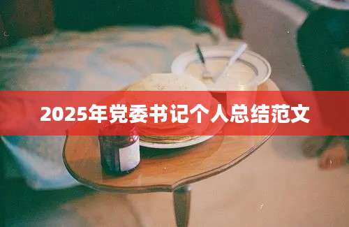 2025年党委书记个人总结范文