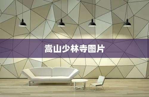 嵩山少林寺图片