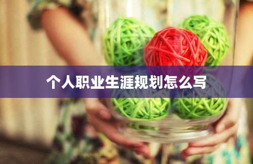 个人职业生涯规划怎么写