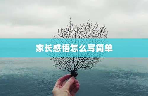 家长感悟怎么写简单
