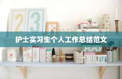 护士实习生个人工作总结范文