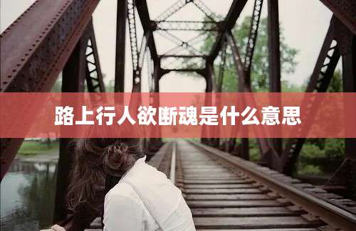 路上行人欲断魂是什么意思
