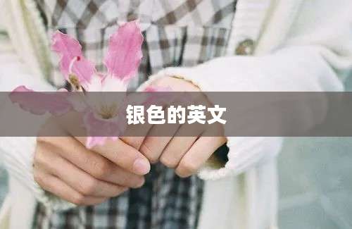 银色的英文