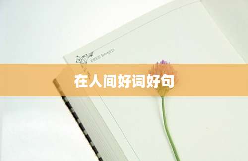 在人间好词好句