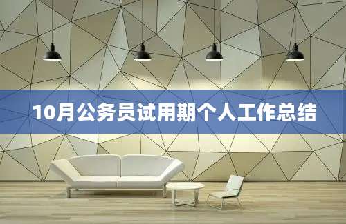 10月公务员试用期个人工作总结