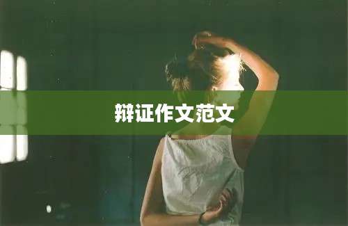 辩证作文范文