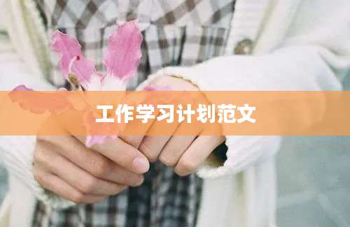 工作学习计划范文