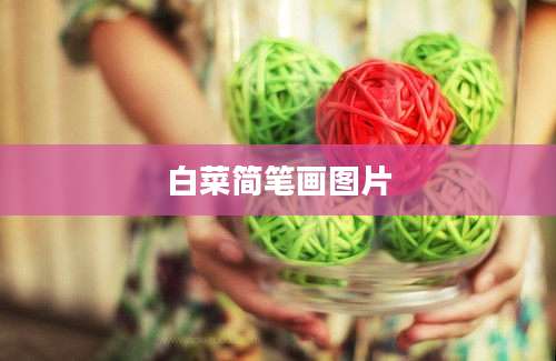 白菜简笔画图片