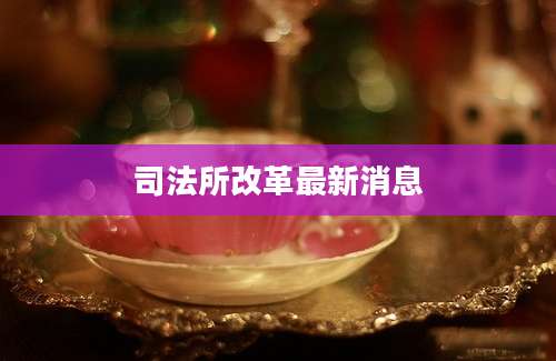 司法所改革最新消息
