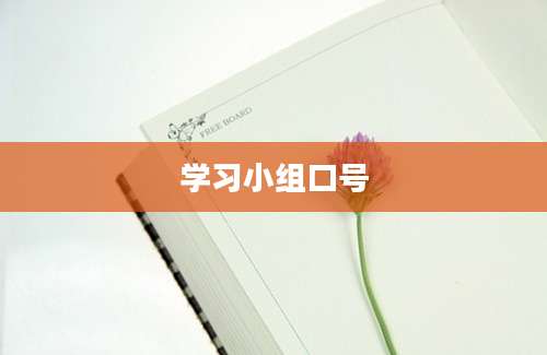 学习小组口号