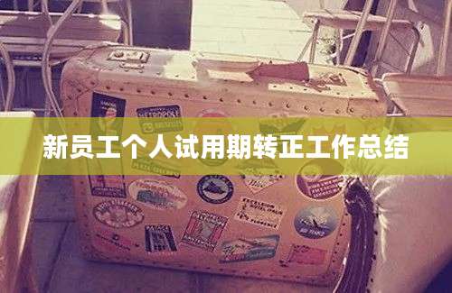 新员工个人试用期转正工作总结