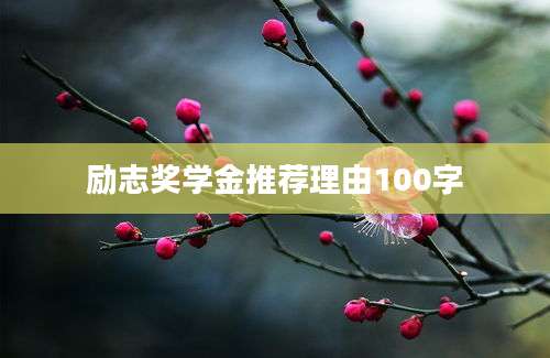 励志奖学金推荐理由100字