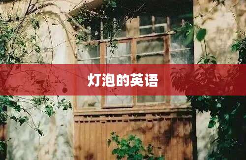 灯泡的英语