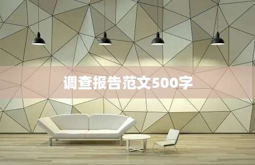 调查报告范文500字