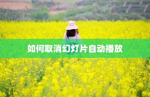 如何取消幻灯片自动播放