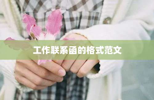 工作联系函的格式范文