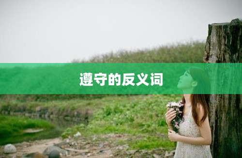 遵守的反义词