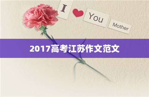 2017高考江苏作文范文