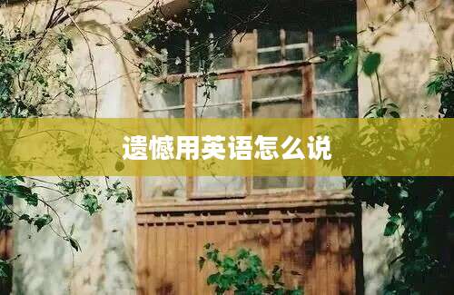 遗憾用英语怎么说