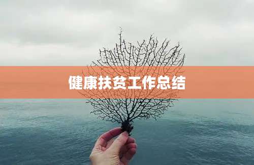 健康扶贫工作总结