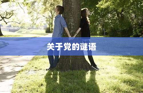 关于党的谜语