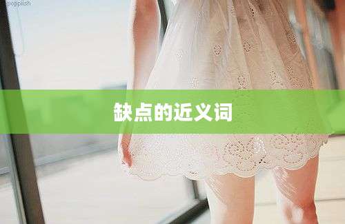 缺点的近义词