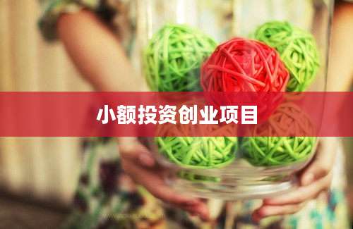 小额投资创业项目