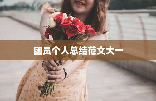 团员个人总结范文大一