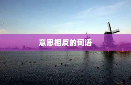意思相反的词语