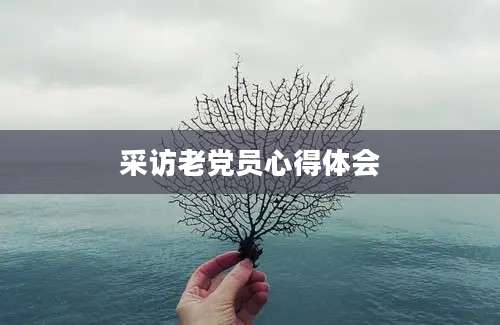 采访老党员心得体会