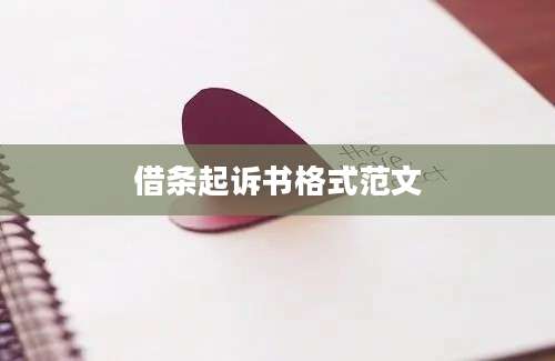 借条起诉书格式范文