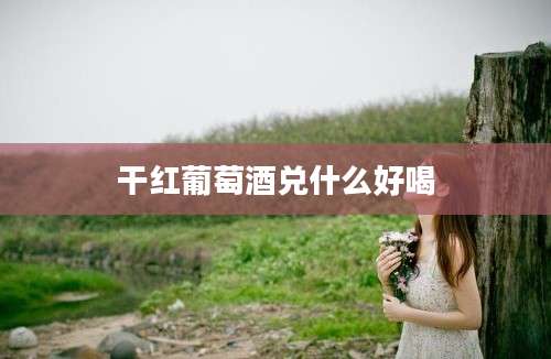 干红葡萄酒兑什么好喝