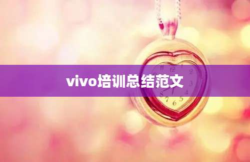 vivo培训总结范文