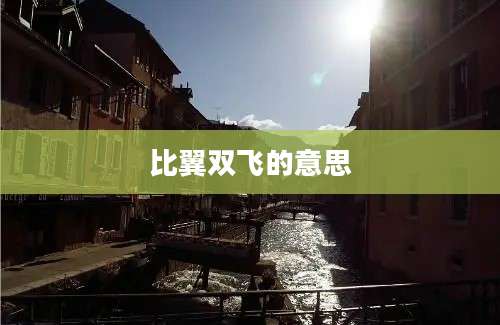 比翼双飞的意思