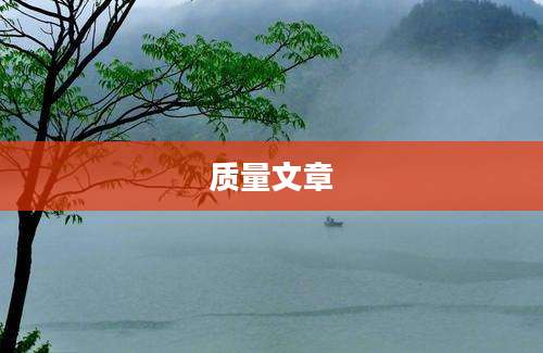 质量文章