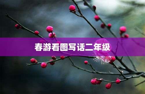 春游看图写话二年级