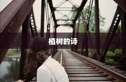 植树的诗