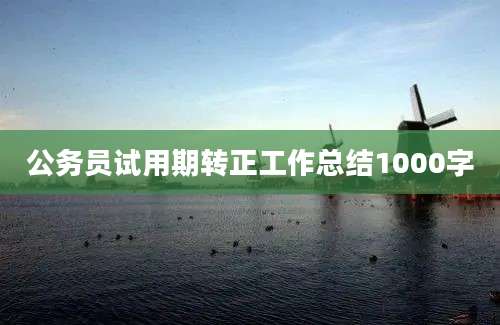 公务员试用期转正工作总结1000字