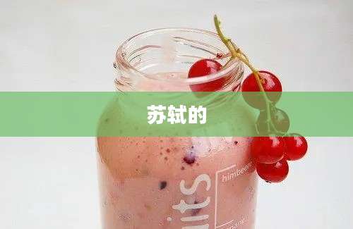 苏轼的