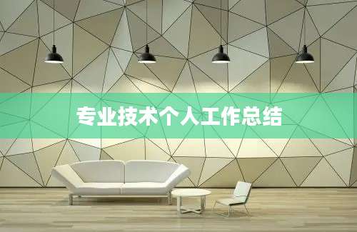 专业技术个人工作总结