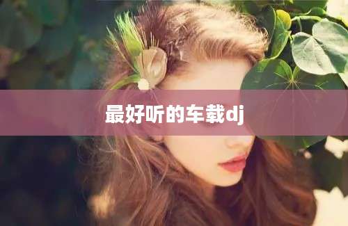 最好听的车载dj