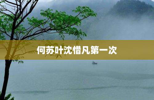 何苏叶沈惜凡第一次