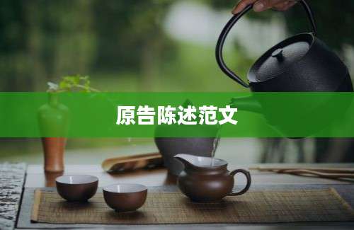原告陈述范文