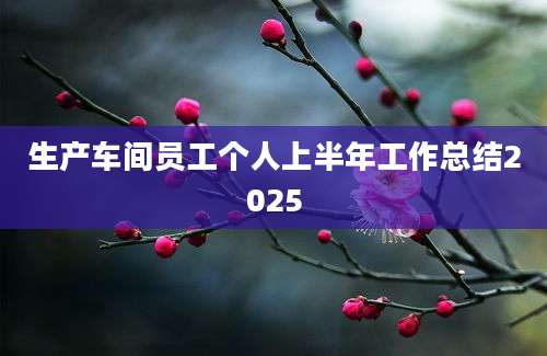 生产车间员工个人上半年工作总结2025