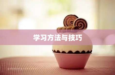 学习方法与技巧