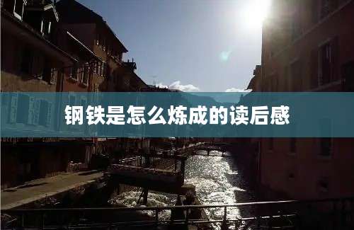 钢铁是怎么炼成的读后感