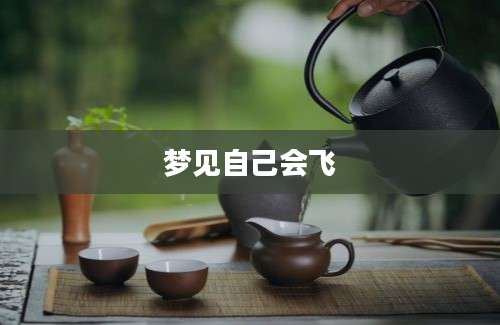 梦见自己会飞