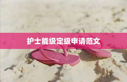 护士能级定级申请范文